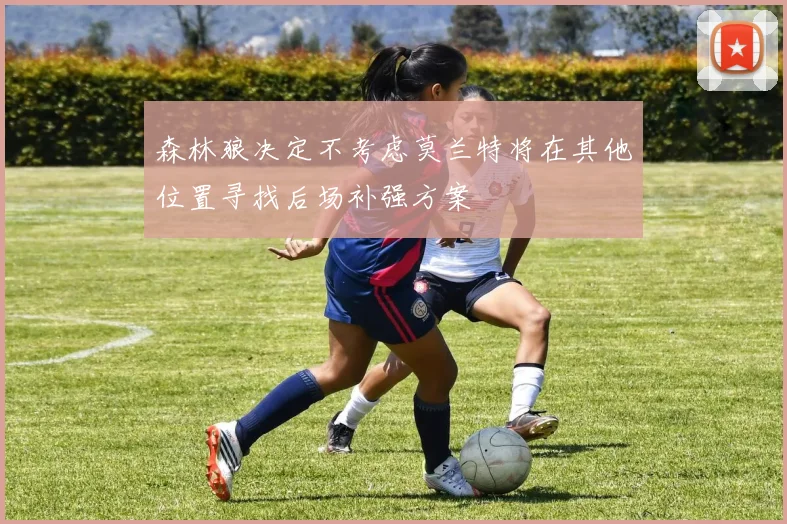 森林狼决定不考虑莫兰特将在其他位置寻找后场补强方案
